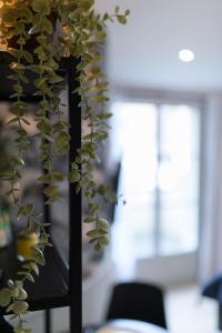 Hotels Le Logis d'Origine. : photos des chambres