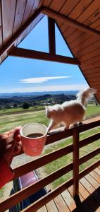 Domki Drewniane Królewska Góra