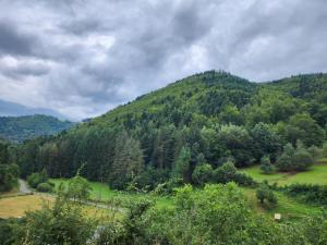 Chez Sandrine au Creux Chêne