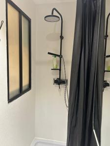 Studio 101 - Grand Cerf - Metz hyper centre - 1er étage