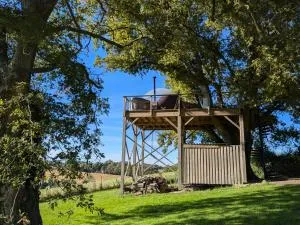 les bulles perchées de lartigue - Espas