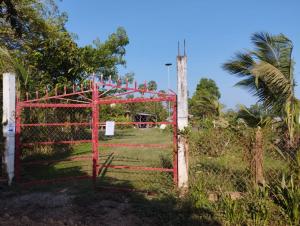 Garden Bungalow