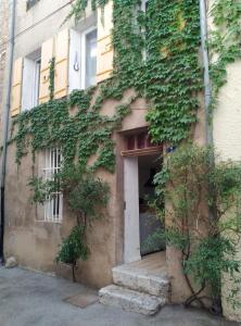 Appartements StudioLaRoque : Appartement - Rez-de-Chaussée