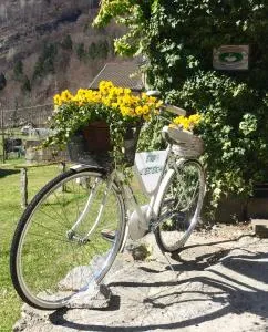 B&B L'Edera - Mozzio