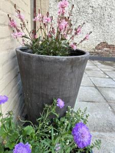 Vakantiehuis Twenty Six