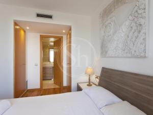 Paseo de Gracia Apartment