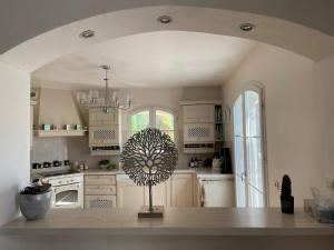 Villas Bastide familiale cadre idyllique vue St Paul de Vence : photos des chambres