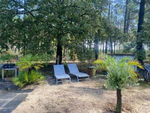 MH 007 ELITE 3 chambres dont suite parentale et 2 salles de bain sur magnifique parcelle dans camping 4 étoiles