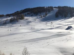 Appartements Duplex cosy 6 pers, skis aux pieds, balcon, animaux admis - FR-1-445-19 : photos des chambres