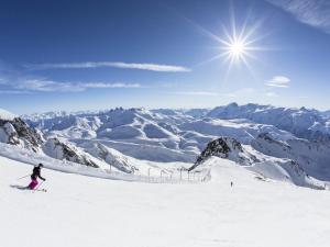 Appartements Confortable 2 pieces skis aux pieds - 5 pers. - Vue imprenable - FR-1-445-35 : photos des chambres