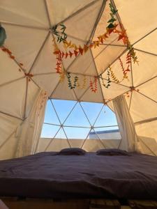 JSOT Lake-View Glamping Domes, Mulshi-Pune