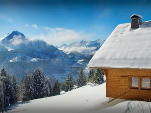 Chalet de Paul et Marie - OVO Network
