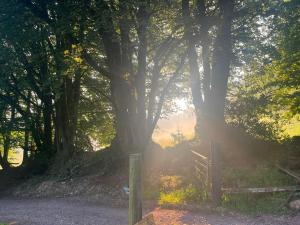 Lickham Bottom Camping