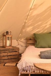 Lickham Bottom Camping