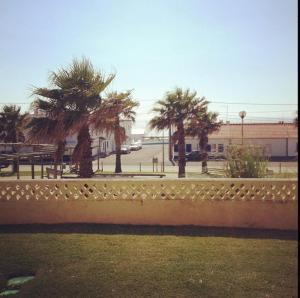 Apt São Sebastião - 1 bedroom oceanfront with pool