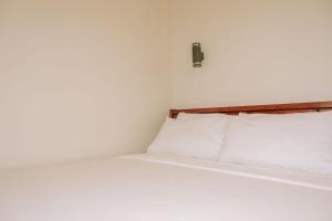 Spacious Cozy Urban Oasis