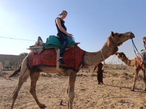 Guesthouse Tofu- Fort View