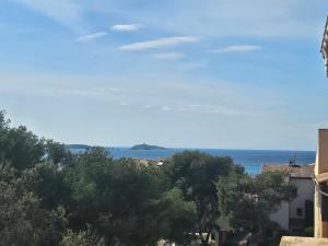 Appartements Domaine de la Coudouliere, T2 climatise terrasse vue mer sans vis a vis plage a 100m : photos des chambres