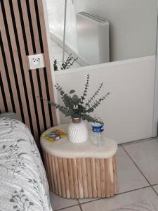 Studio le Végétal
