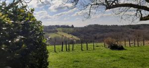 Maisons de vacances Gite de campagne au coeur du Perigord a Rouffignac-Saint-Cernin-de-Reilhac : photos des chambres