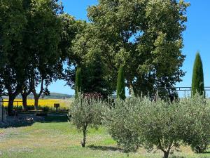 Appartements Tilleul - Laurier gite rural du Domaine de Laforest : photos des chambres