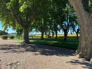Appartements Tilleul - Laurier gite rural du Domaine de Laforest : photos des chambres