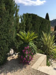 Villas Bastide familiale cadre idyllique vue St Paul de Vence : photos des chambres