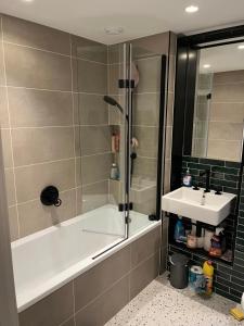 Beautiful One Bedroom Apartment