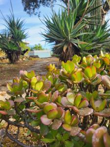 Villa Marinella img65