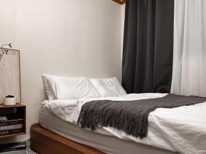 Middle of Hongdae and Gangnam with green line