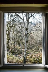Villas Au four a pain : photos des chambres