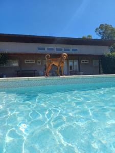 Casaquinta La Morena