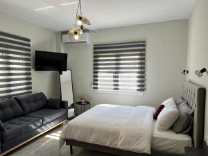 Drama Homes Miaouli #2