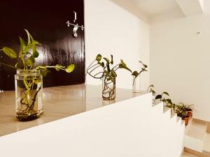 Serenity Cozy 1BHK Retreat