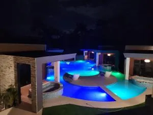 Opulenz - Steer Town