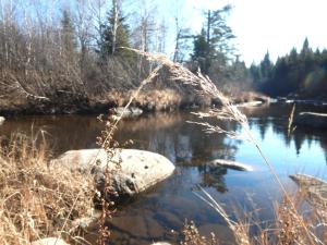Aux Tipis de la Rivière Sauvage