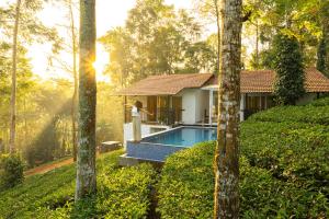 Tealawn Pool Villa, Munnar