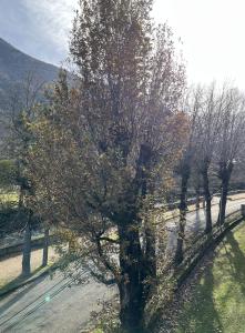 Appartements Bagneres-de-Luchon T3 : photos des chambres