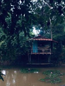 สวนบ้านนอก SuanBaanNoak - Ubytování bez kategorie ve městě Phayao