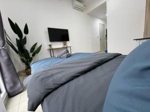 Trion KL By HomeTaric Suite