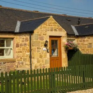 Avocet Cottage - Warenford