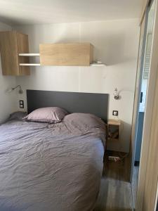 MH 007 ELITE 3 chambres dont suite parentale et 2 salles de bain sur magnifique parcelle dans camping 4 étoiles