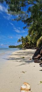 Piscine rien que pour vous, villa de plage entière face au lagon, les pieds dans l eau, cuisine équipée & wifi Le Boraha Beach Lodge 90 m2