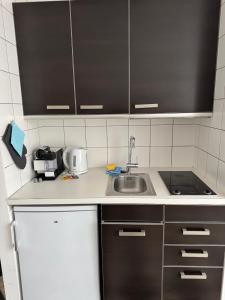 Terrassenwohnung mit Donaublick 4