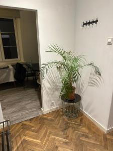Nowy Swiat Prestige - Elegant 2-room Apartment in City Center