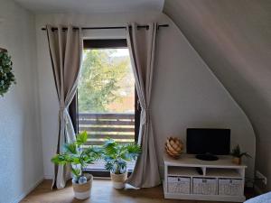 Haus Schwarzwald Königin