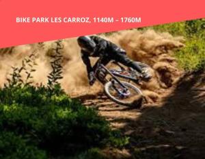 Appartements Mazots - Sejour aux Carroz : photos des chambres