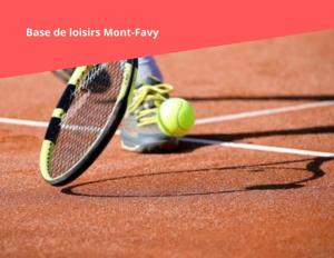 Appartements Mazots - Sejour aux Carroz : photos des chambres