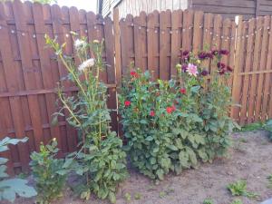 Apartment in Ribnitz-Damgarten 35179