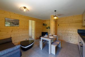 Appartements Logement 3 etoiles avec vue imprenable sur les montagnes, ski bus : photos des chambres
